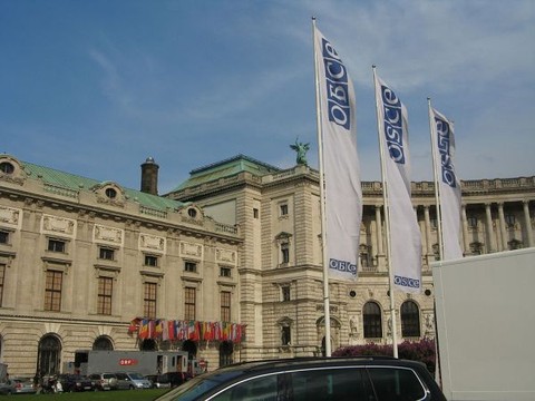 Председатель ФРГ: Германия надеется вывести ОБСЕ из кризиса 