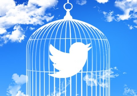 Птичка в клетке: Что будет с соцсетями в России?