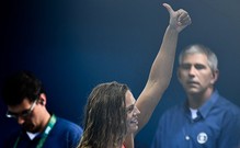 Олимпиада-2016. Всё о сойках-пересмешницах из Рио-де-Жанейро