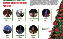 Самые высокие елки России