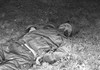 Убитый немецкий солдат