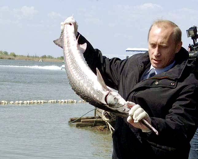 Президент Владимир Путин в Астрахнской области. Фото www.kasjauns.lv